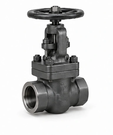 Forged Gate Valve — Plain A105 Forging